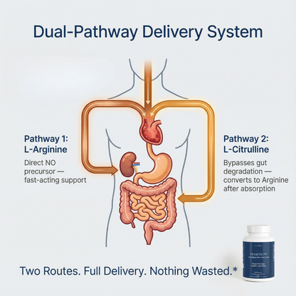 Prime Flow - Restore the Flow. Reclaim Your Prime.